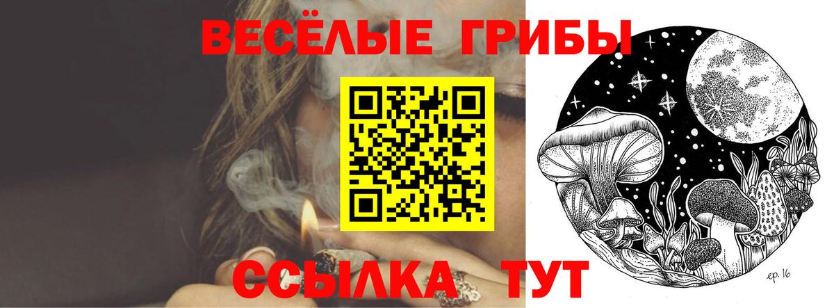 купить   Галлюциногенные грибы MAGIC MUSHROOMS  Нефтекумск  Вход с VPN  Галлюциногенные грибы Psilocybine cubensis 